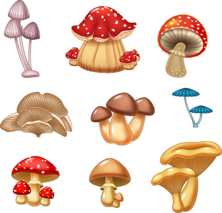 Detail Free Mushroom Images Nomer 20