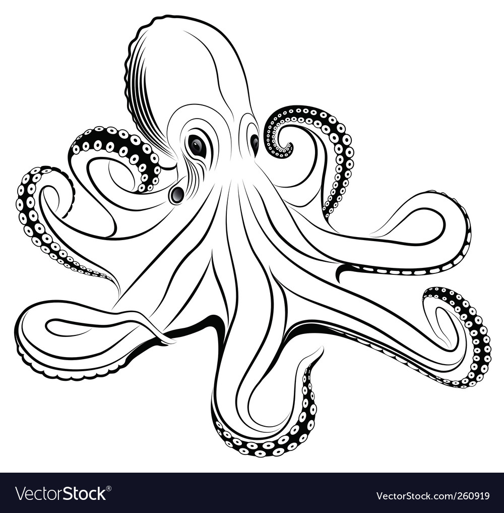 Detail Free Octopus Nomer 24