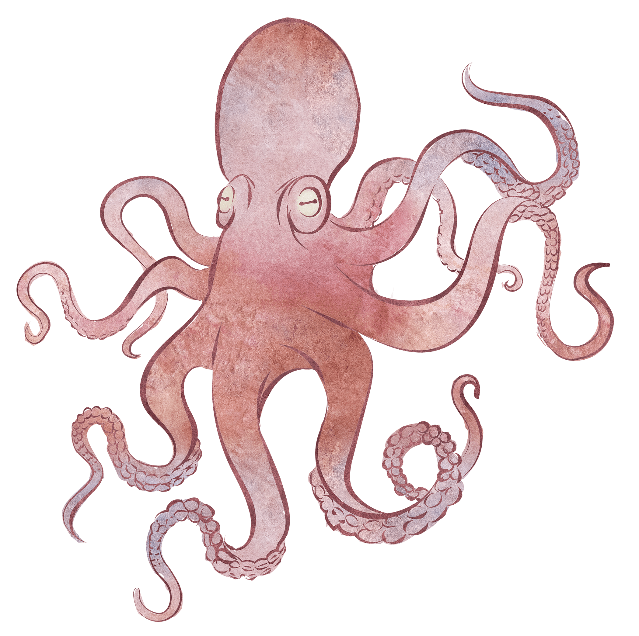 Detail Free Octopus Nomer 27