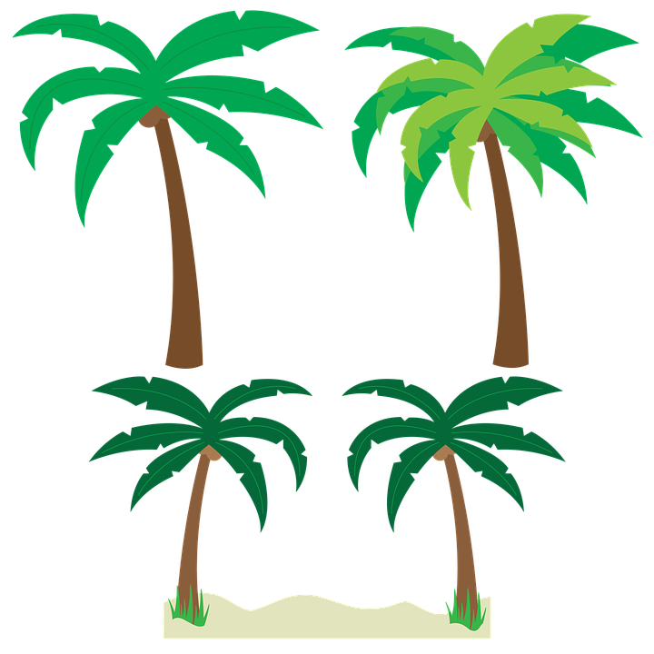 Detail Free Palm Tree Images Nomer 20