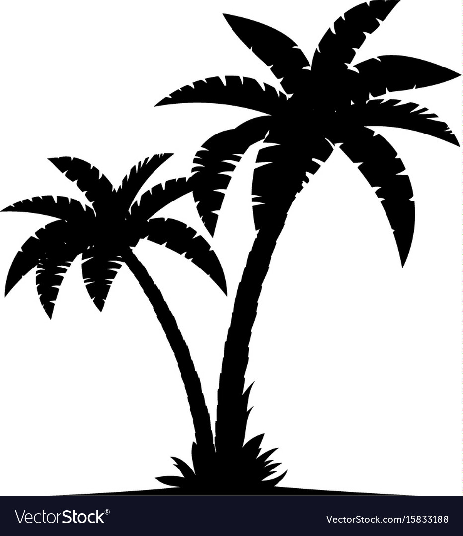 Detail Free Palm Tree Images Nomer 23