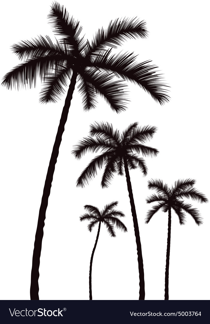Detail Free Palm Tree Images Nomer 30