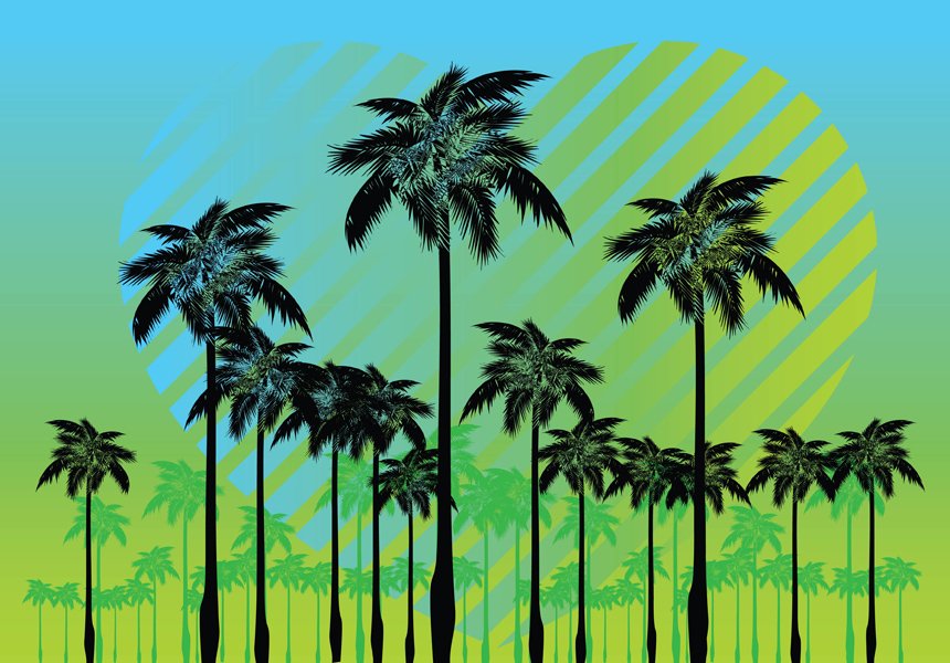 Detail Free Palm Tree Images Nomer 40