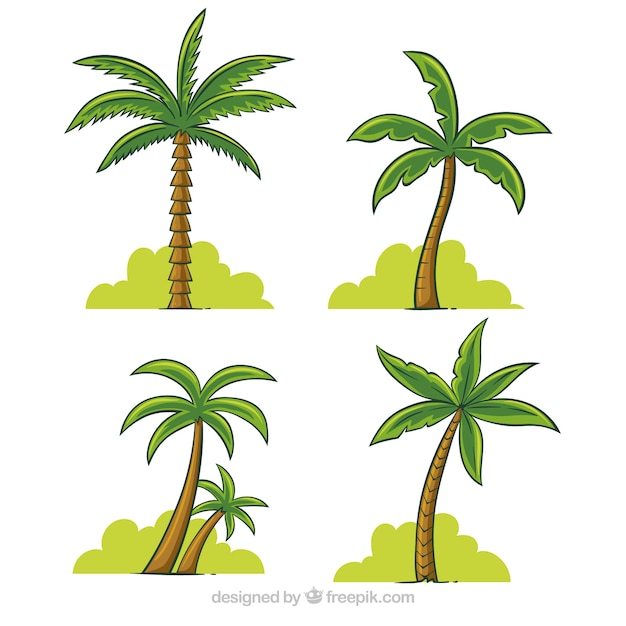 Detail Free Palm Tree Images Nomer 53