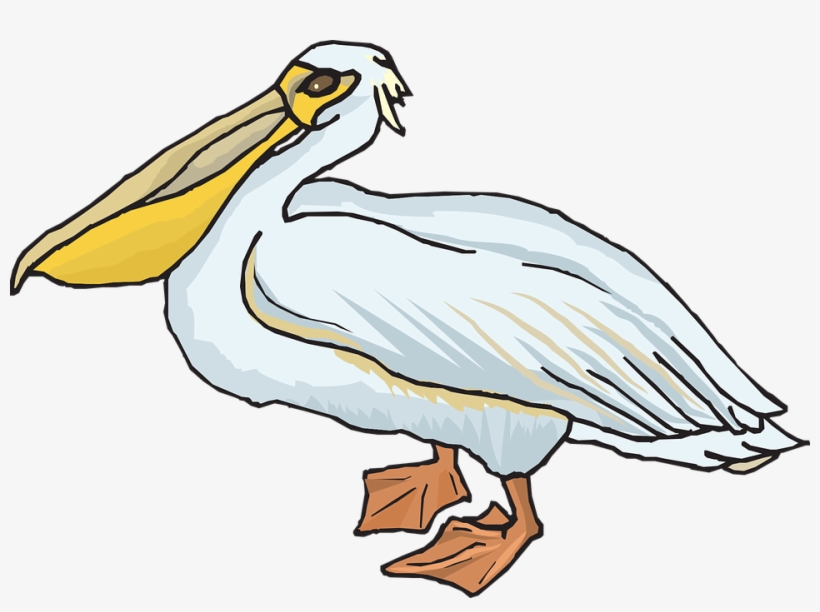 Detail Free Pelican Clipart Nomer 33