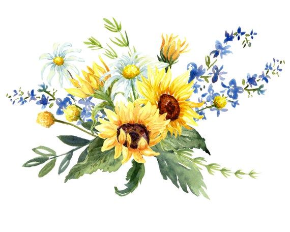 Sunflower Watercolor - KibrisPDR