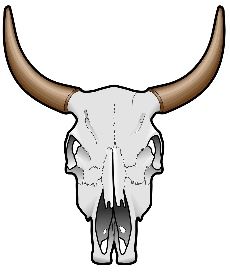 Detail Bull Skull Nomer 25