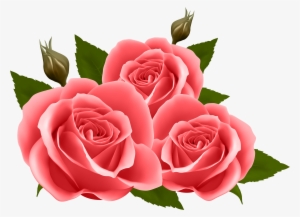 Detail Free Photos Of Roses Nomer 13