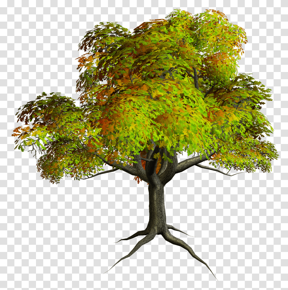 Detail Free Photoshop Trees Nomer 30