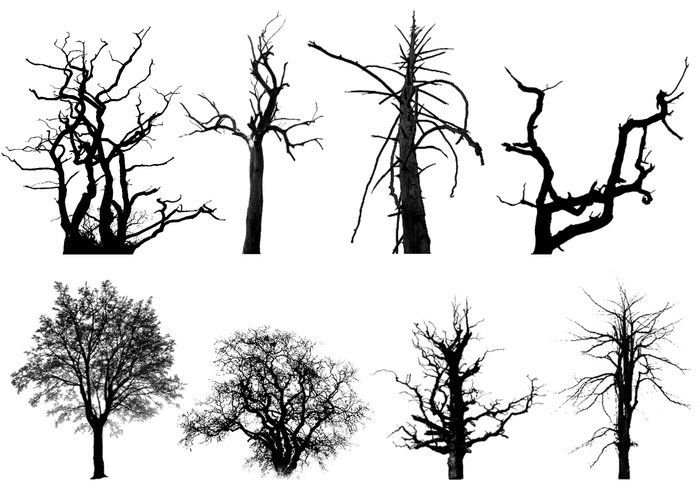 Detail Free Photoshop Trees Nomer 33