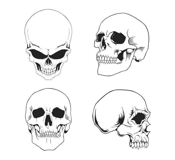 Detail Free Pics Of Skulls Nomer 14