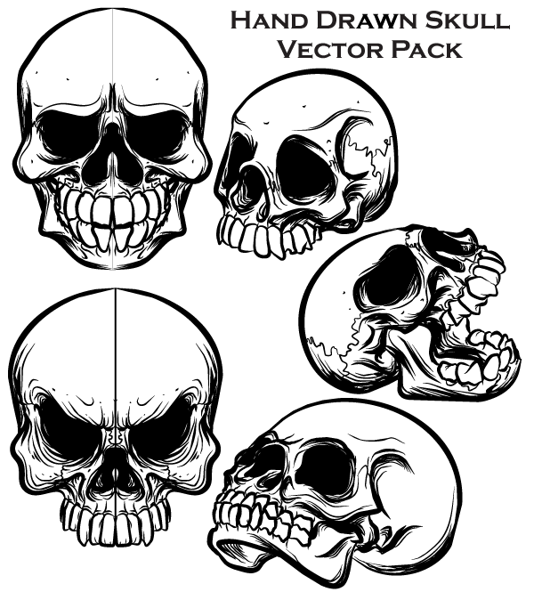 Detail Free Pics Of Skulls Nomer 26