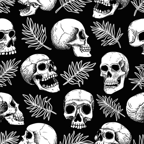 Detail Free Pics Of Skulls Nomer 39