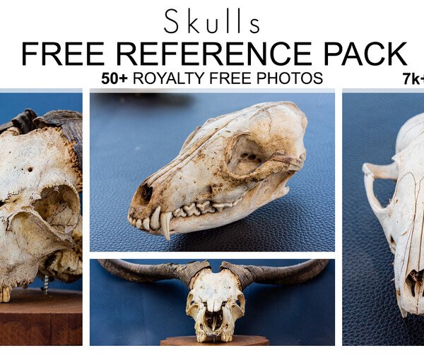 Detail Free Pics Of Skulls Nomer 44