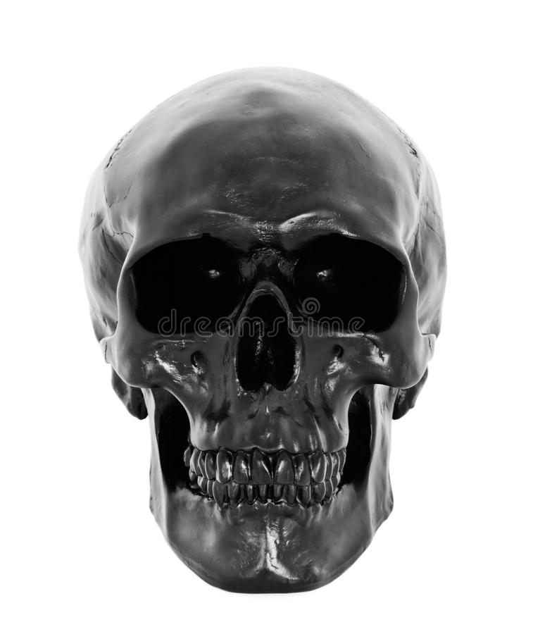 Detail Free Pics Of Skulls Nomer 6