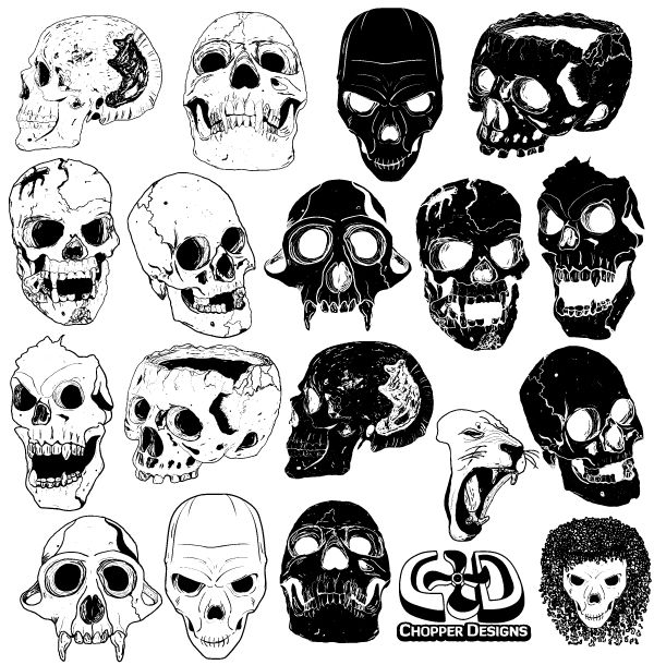 Download Free Pics Of Skulls Nomer 8