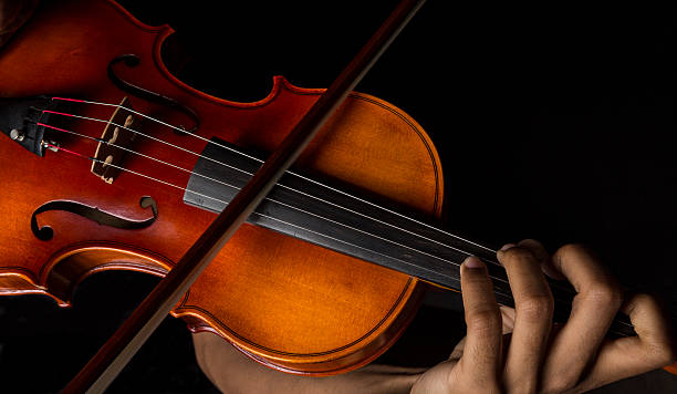 Detail Free Picture Of Violin Nomer 11