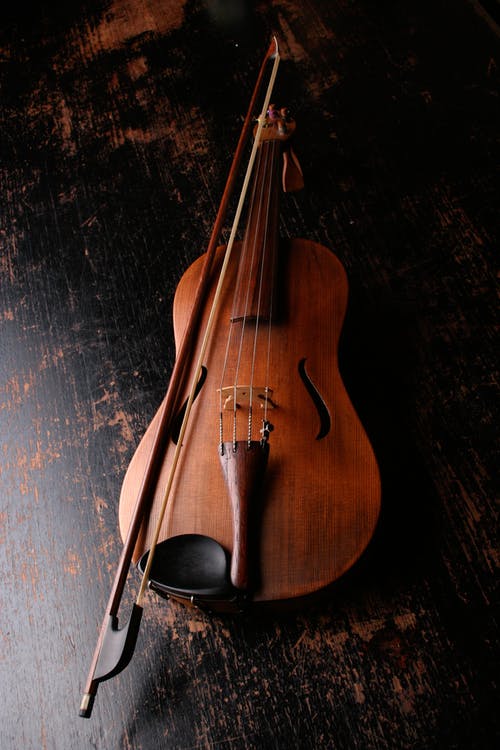 Detail Free Picture Of Violin Nomer 34