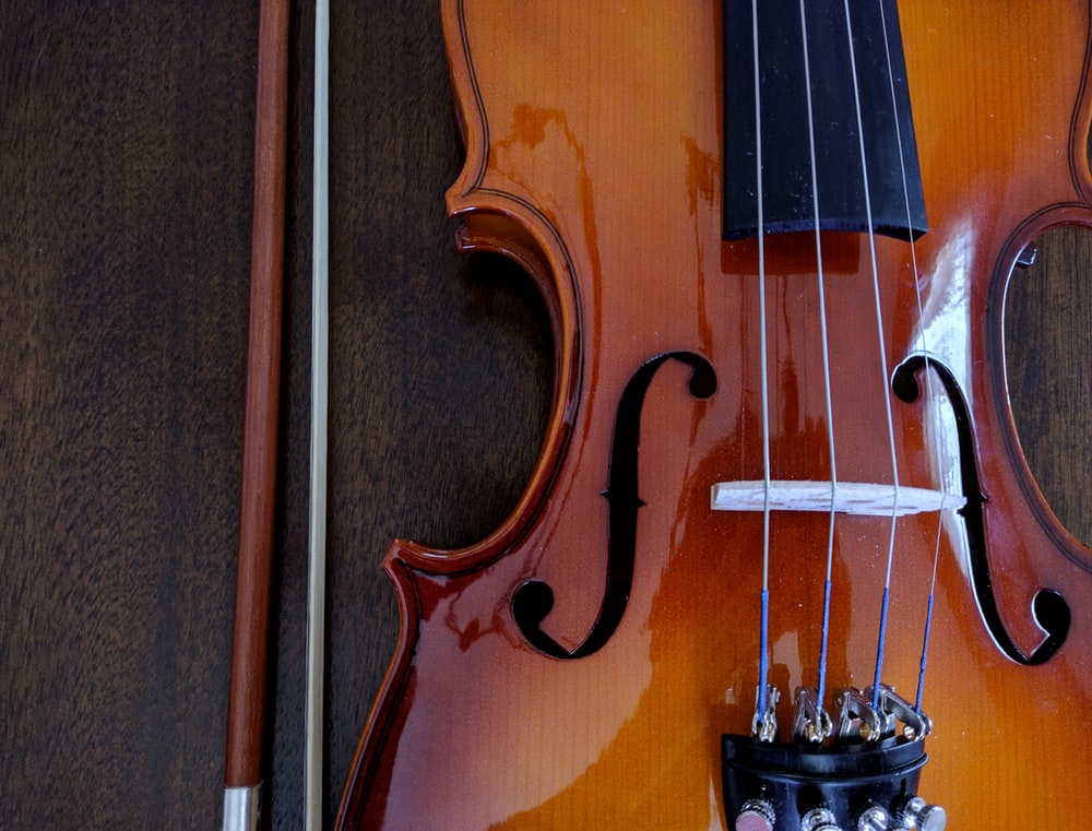 Detail Free Picture Of Violin Nomer 42