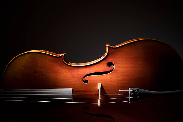 Detail Free Picture Of Violin Nomer 6