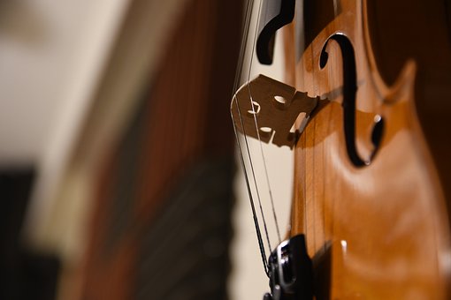 Detail Free Picture Of Violin Nomer 52