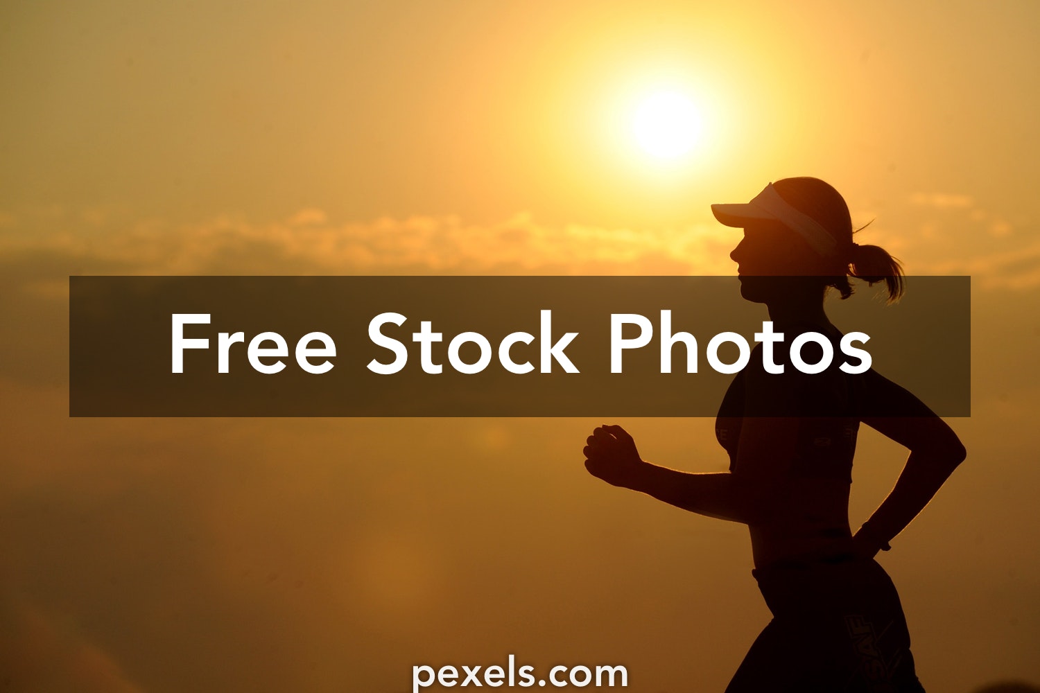 Download Free Picture Stock Nomer 49