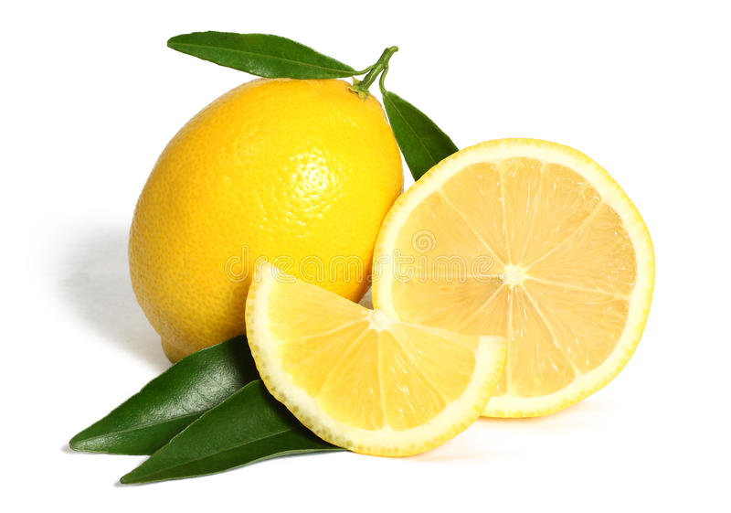 Detail Free Pictures Of Lemons Nomer 2