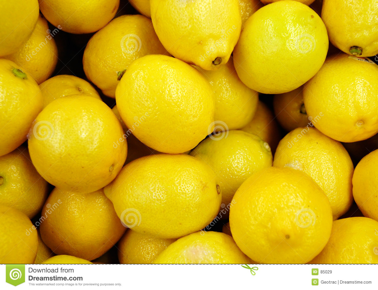 Detail Free Pictures Of Lemons Nomer 22