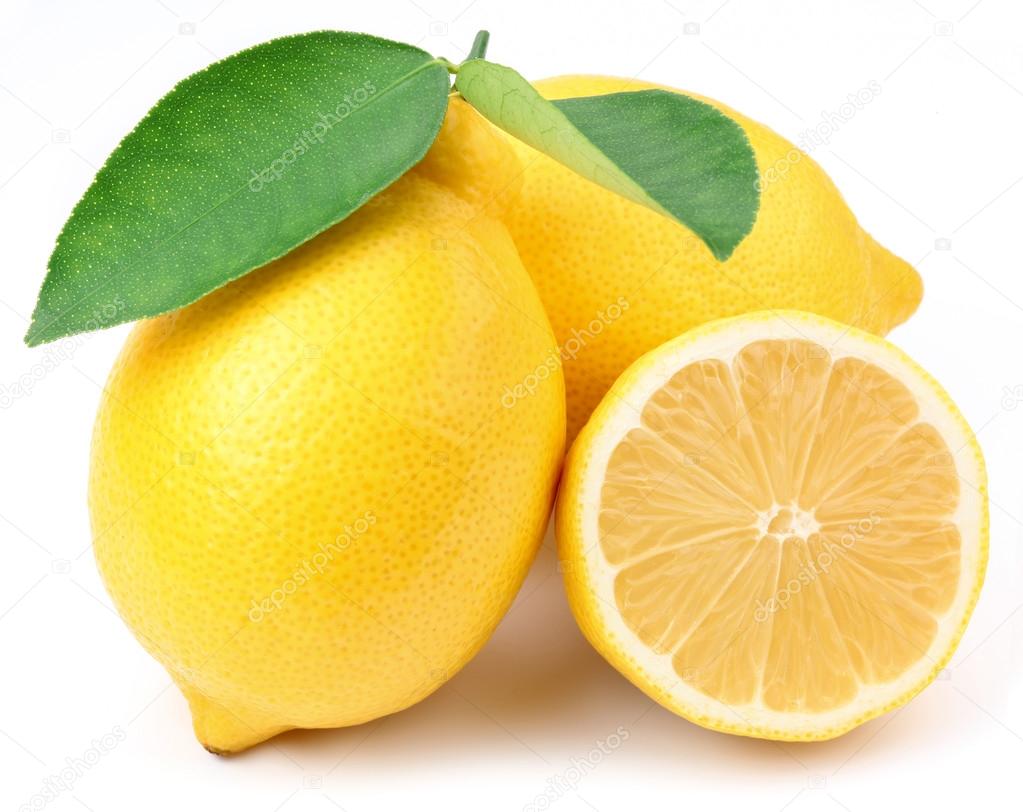 Detail Free Pictures Of Lemons Nomer 5