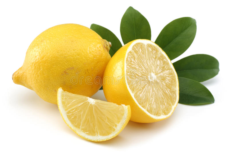 Detail Free Pictures Of Lemons Nomer 6