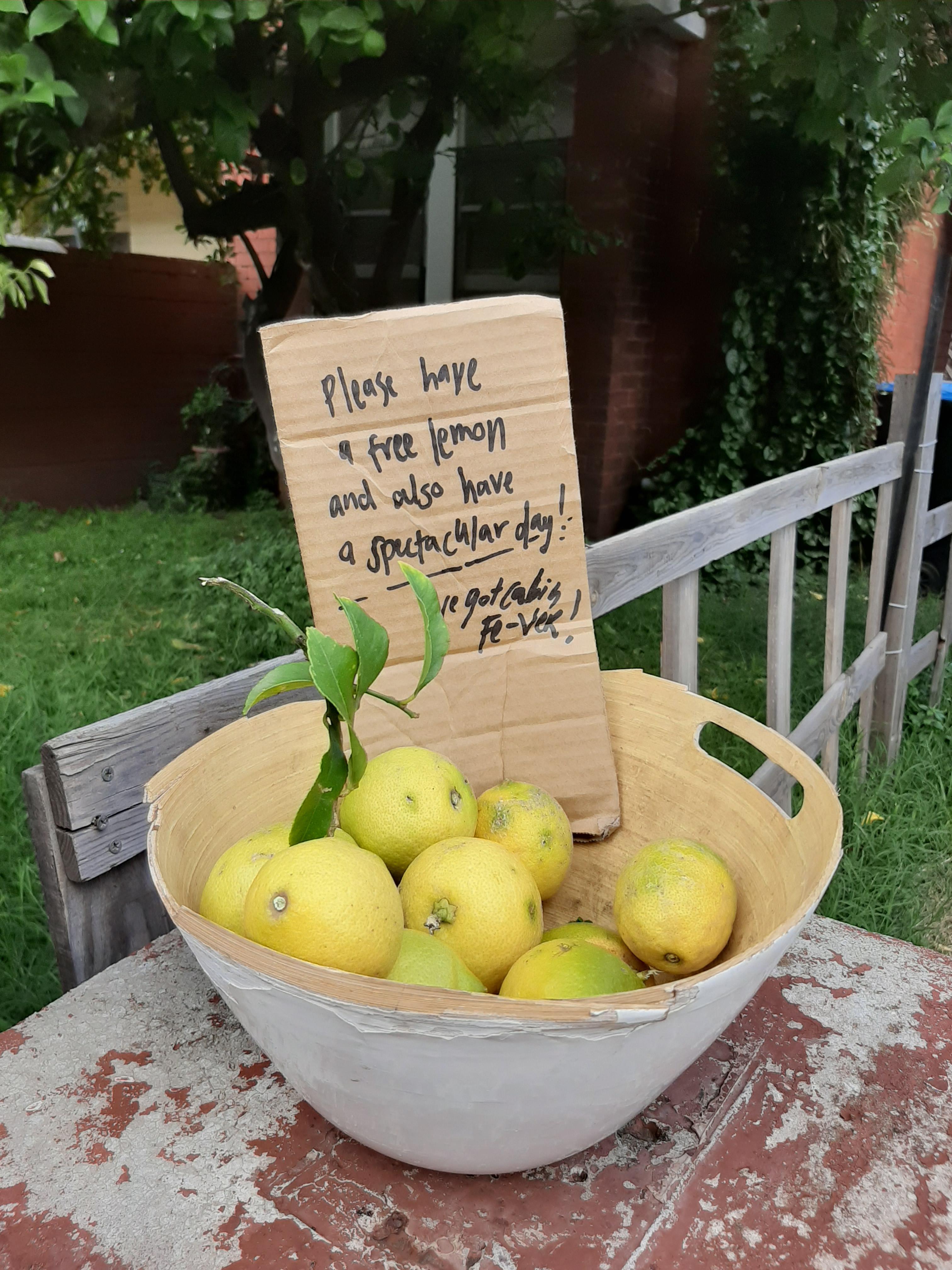 Detail Free Pictures Of Lemons Nomer 49