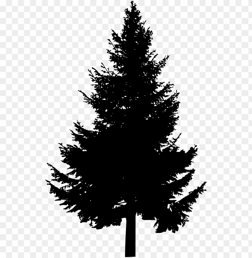 Detail Free Pine Tree Images Nomer 9