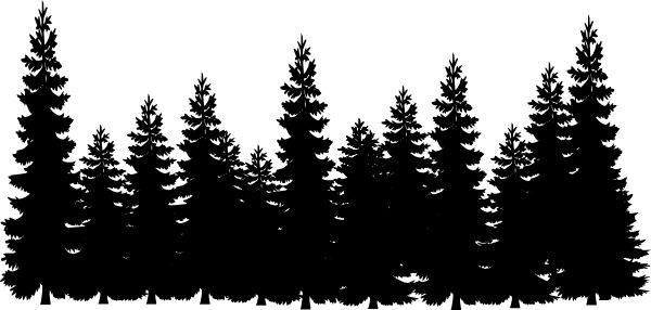 Detail Free Pine Tree Images Nomer 10