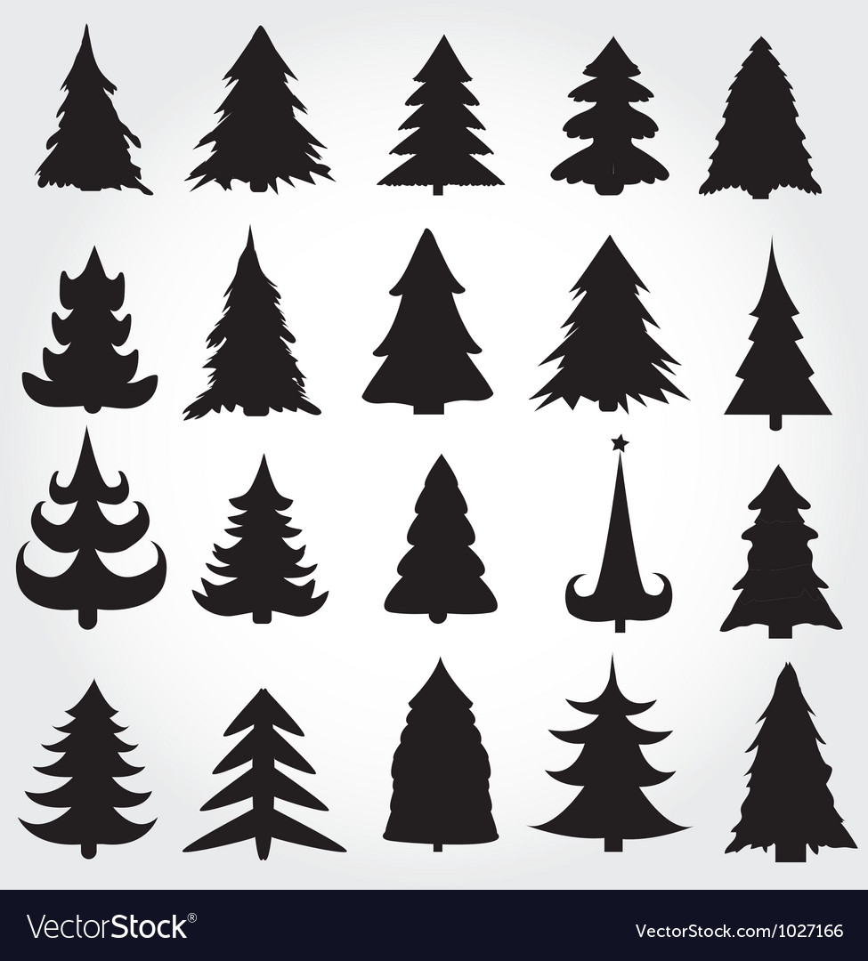 Detail Free Pine Tree Images Nomer 25