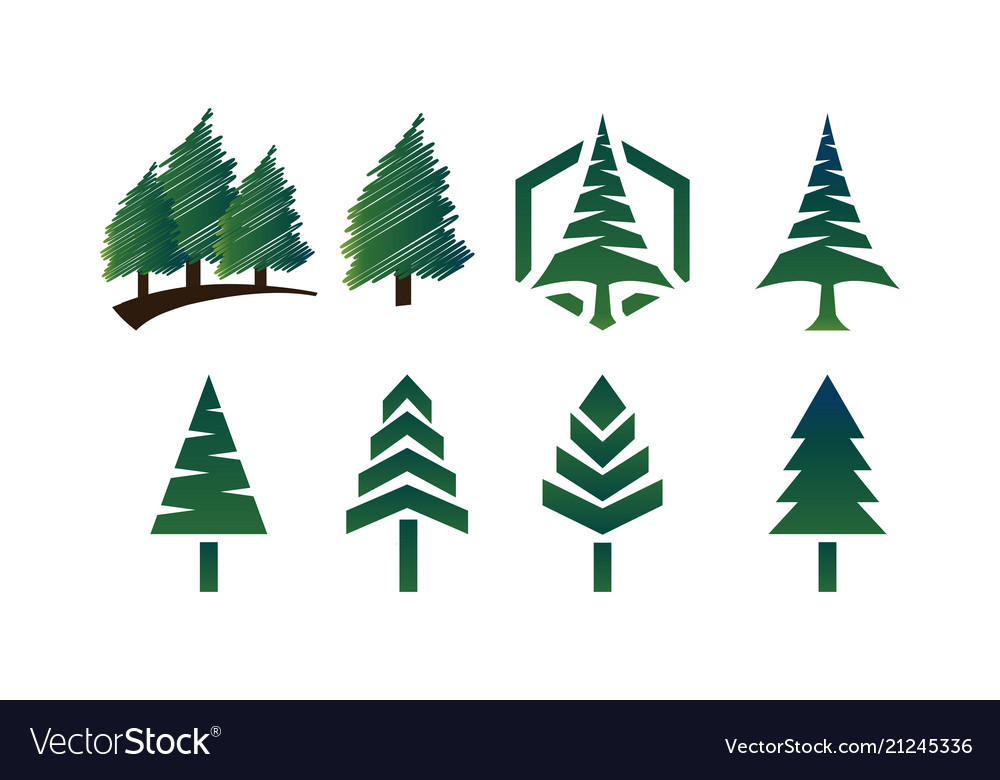 Detail Free Pine Tree Images Nomer 41