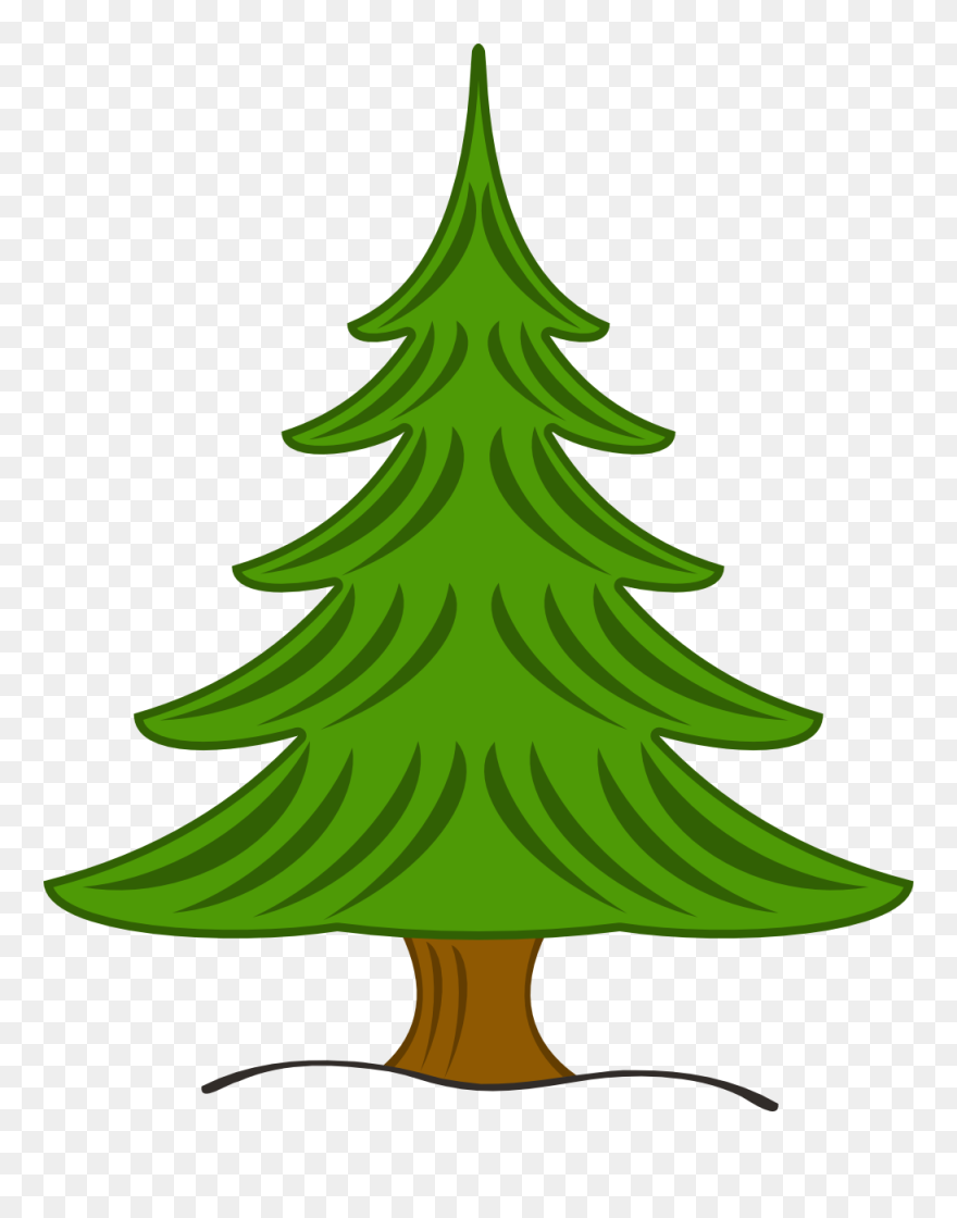 Detail Free Pine Tree Images Nomer 48