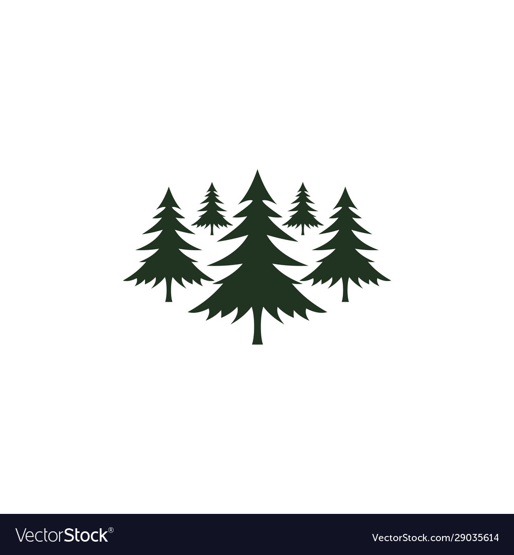 Detail Free Pine Tree Images Nomer 53