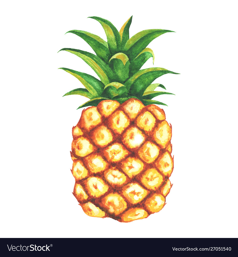 Detail Free Pineapple Clip Art Nomer 14