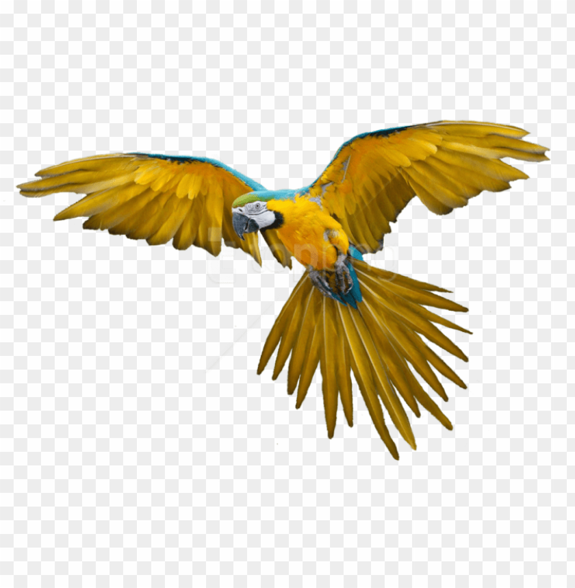 Detail Free Png File Download Nomer 21