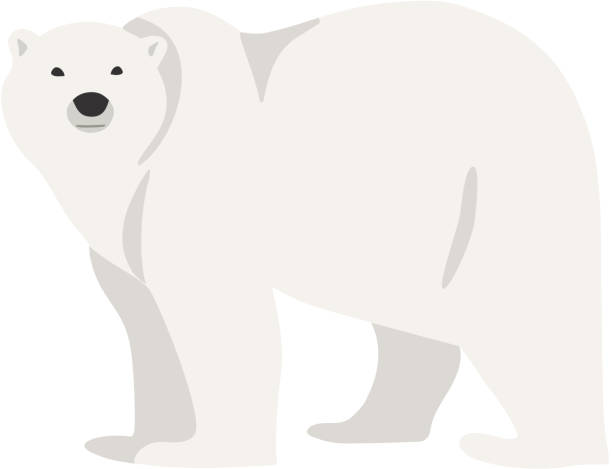 Detail Free Polar Bear Clipart Nomer 18