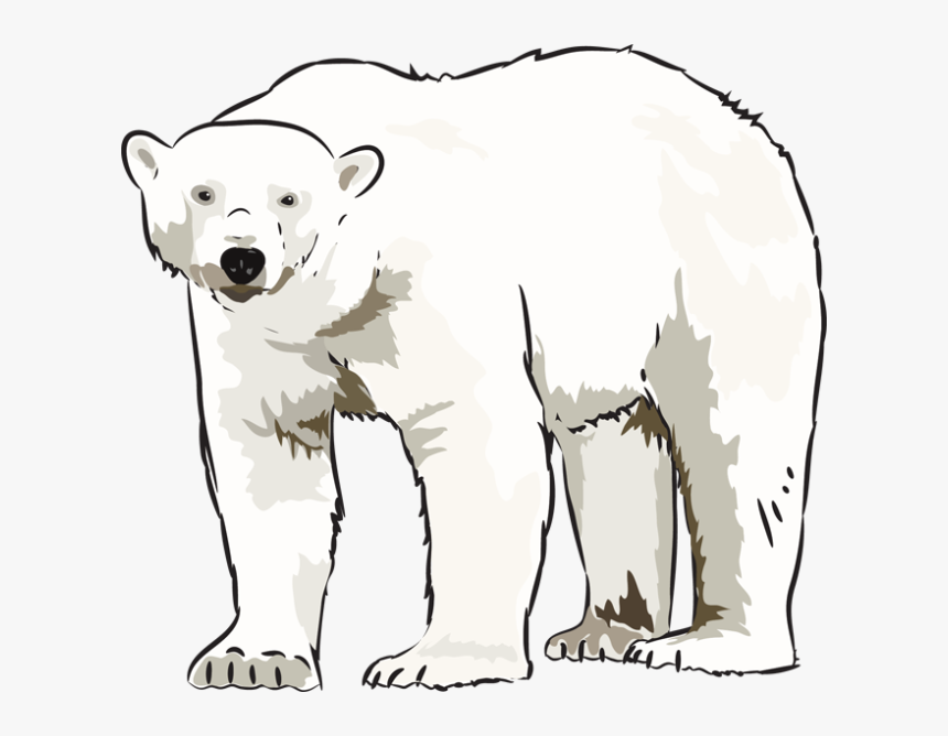 Detail Free Polar Bear Clipart Nomer 5