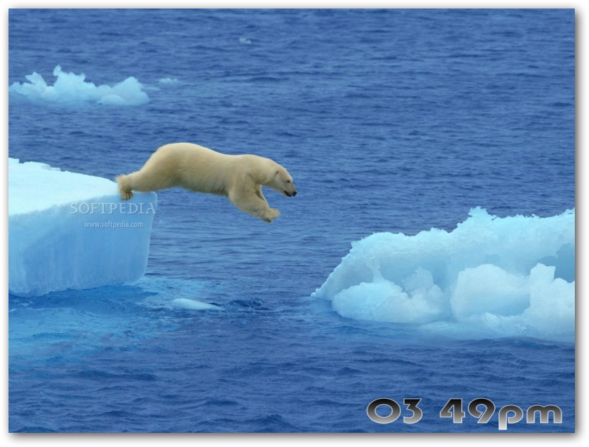 Detail Free Polar Bear Pictures Nomer 25