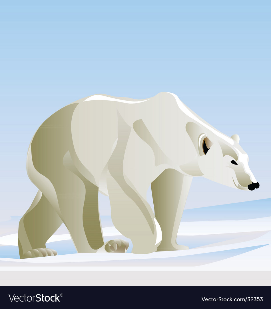 Detail Free Polar Bear Pictures Nomer 30