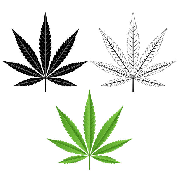 Detail Free Pot Leaf Vector Nomer 4