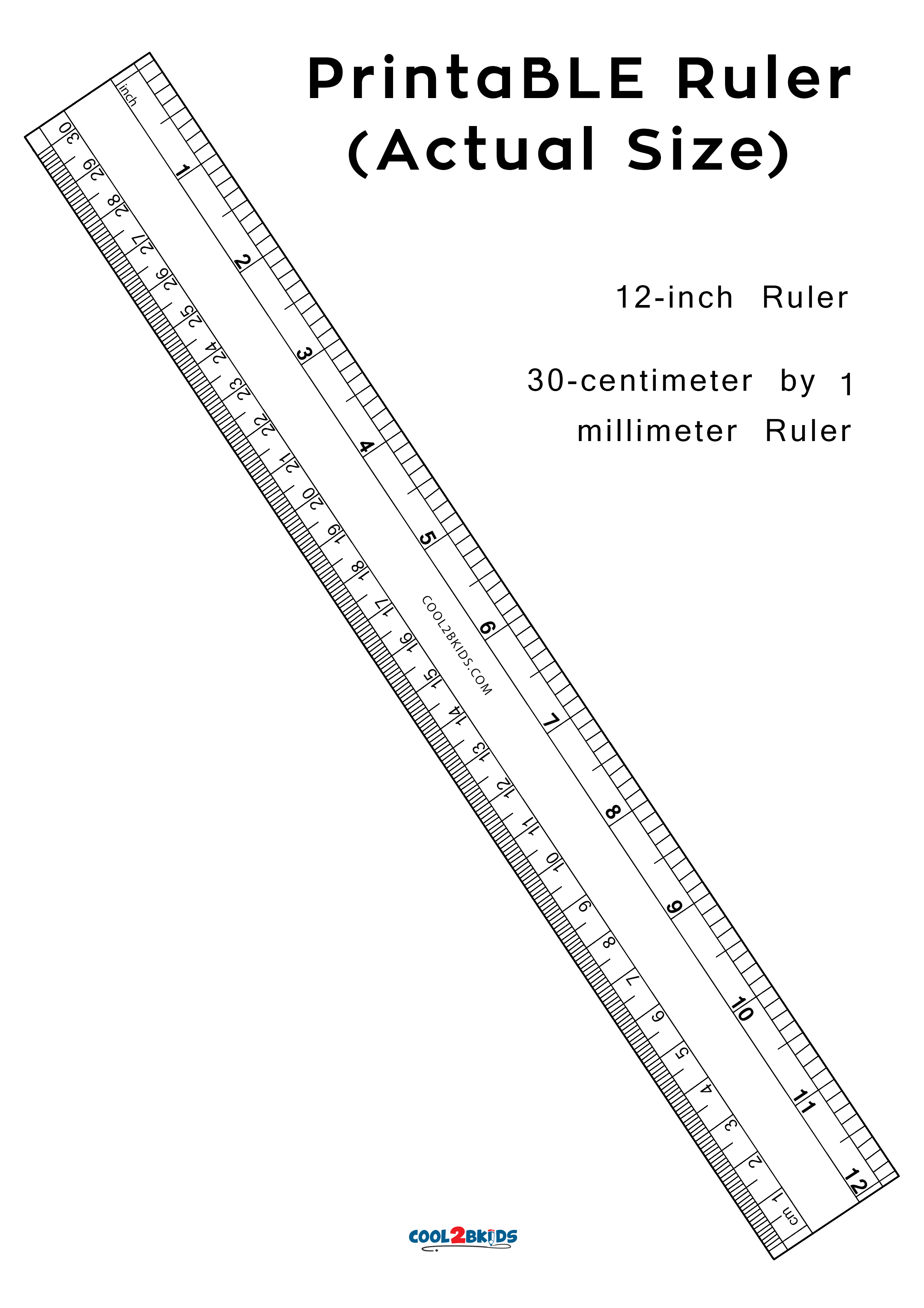 Detail Free Printable Centimeter Ruler Nomer 12