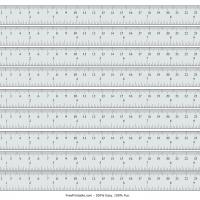 Detail Free Printable Centimeter Ruler Nomer 29