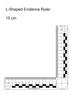 Detail Free Printable Centimeter Ruler Nomer 36