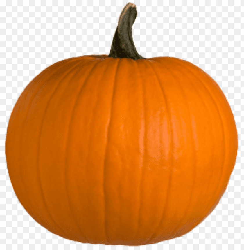 Detail Free Pumpkin Png Nomer 10