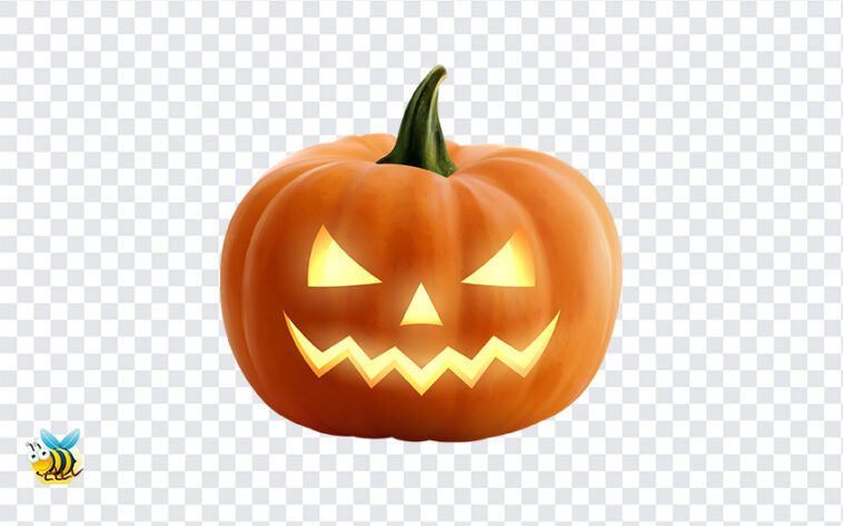 Detail Free Pumpkin Png Nomer 29