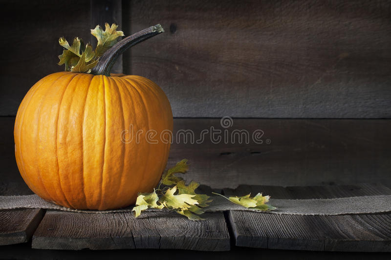 Detail Free Pumpkins Pictures Nomer 48